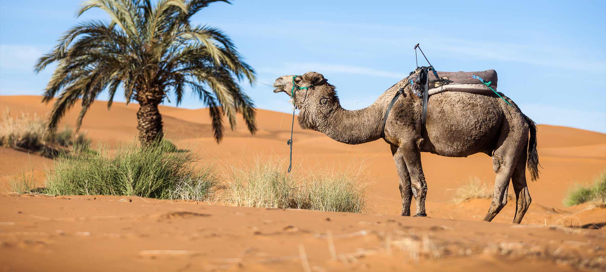 Individuelle Marokko Reisen